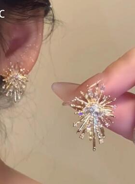 轻奢小众精致锆石烟花耳钉个性百搭气质高级感满天星耳环耳饰