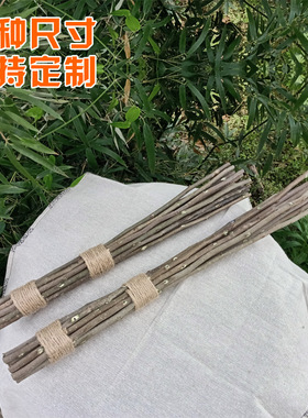 杜仲枝经络拍壮腰通络拍打棒天然健康新鲜带皮按摩敲打养生棒