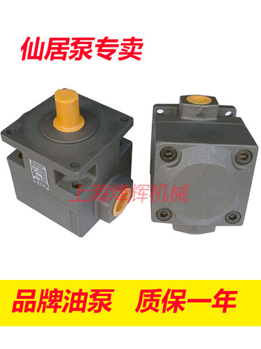 YB1-100叶片泵平面磨床油泵仙居泵压力泵仙居液压件公司 - 图0