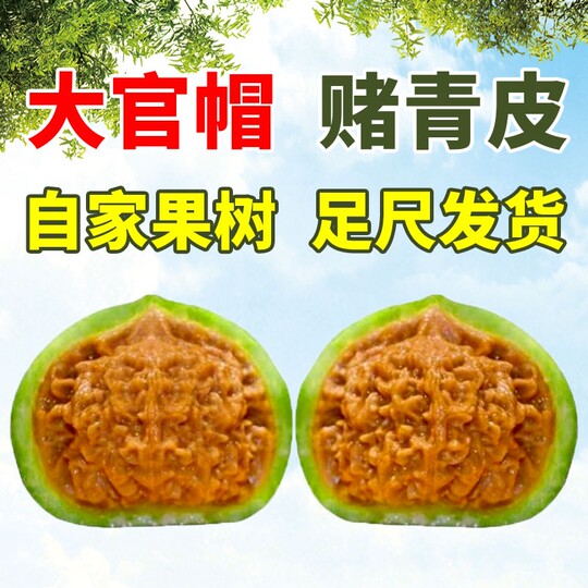 Wild Wenwan walnut hand-held plate playing gambling green leather natural three-sided stuffy pointed lion head official hat toad head four buildings