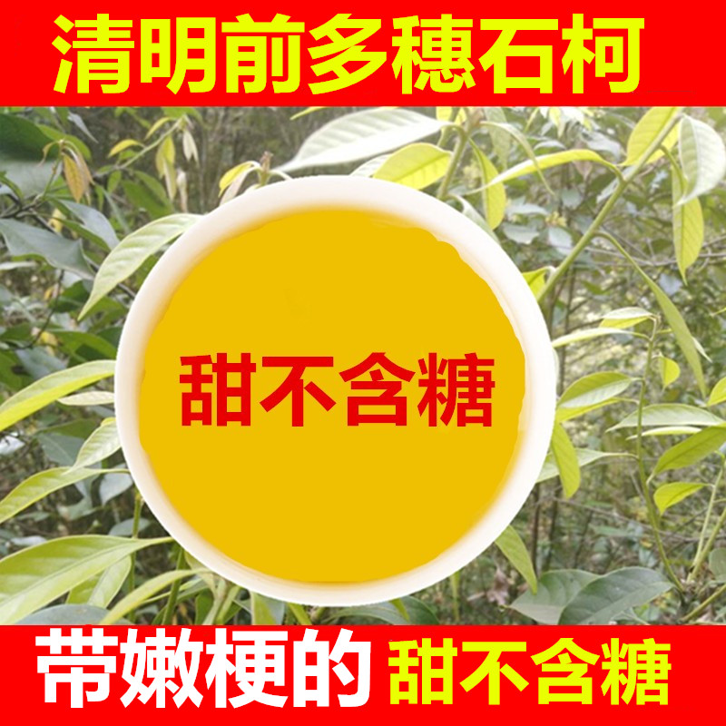 野生多穗石柯甜茶清明前特级木姜叶柯特嫩甜茶叶江西华南六祖甜茶 - 图0