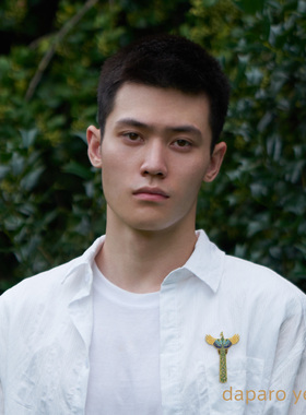 胸针daparo绿孔雀古风毛衣大衣
