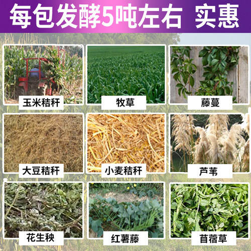 秸秆发酵剂玉米桔杆青储剂干草甜象草桔梗牧草发孝粉乳酸菌鹅牛羊 - 图1