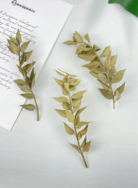 天然植物小枝素材手工DIY材料圣诞花环装饰挂饰标本圣诞花高粱穗