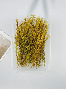 永生花千层金干花配草香薰蜡烛圣诞花环藤圈diy点缀材料伴手礼叶