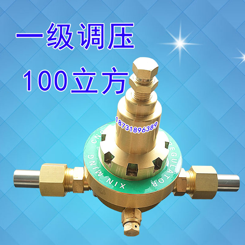 CNG高压一级调压器瓶装天然气减压阀DN15大流量调压阀100立方