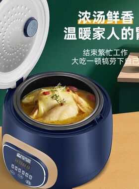 半球迷你1-3人电饭煲宿舍煮饭锅