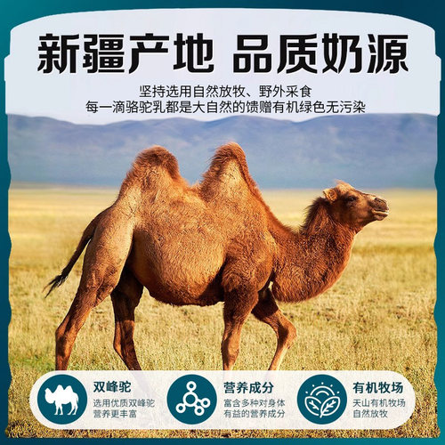 驼奶粉中老年人无蔗糖高钙益生菌骆驼奶粉正宗新疆正品官方旗舰店 - 图2
