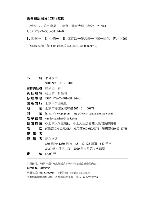 正版 2020年 书外说书 陈兴良 著 北京大学出版社 法外说法 书外说书 道外说道 三部之一 9787301311240 - 图1