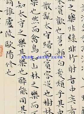 王宠小楷醉翁亭记微喷复制装饰
