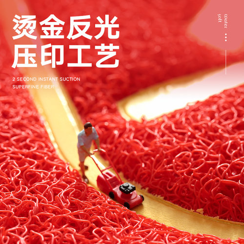 大江入户门地垫新款红色丝圈门垫大门口喜庆脚垫新家除尘防滑地毯 - 图1
