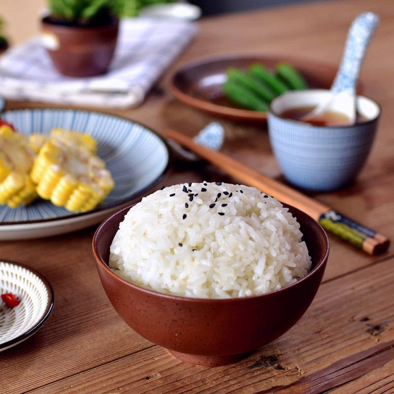 日式和风餐盘陶瓷釉下彩盘子圆盘饭盘家用菜盘小菜盘古朴餐饮具 - 图2