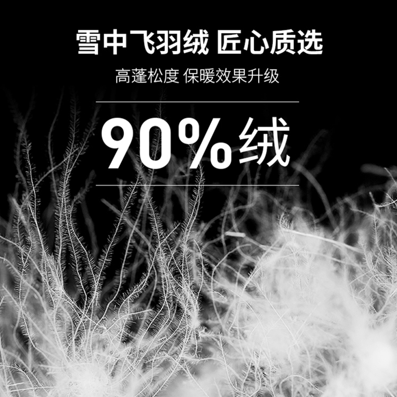雪中飞轻薄短款2022年冬季轻便轻暖 雪中飞朗来福羽绒服
