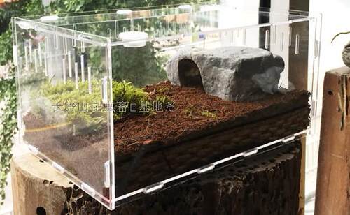 全景高透明亚克力宠物甲虫盒爬虫箱亚克力爬宠饲养箱乌龟蝎子新品 - 图2