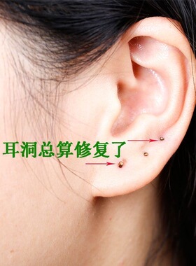 酸枣刺耳钉养耳洞防发炎防过敏非金属温和睡觉免摘天然防堵耳棍
