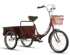 Ruifukang elderly tricycle elderly pedal small can take people adult bicycle human bicycle scooter
