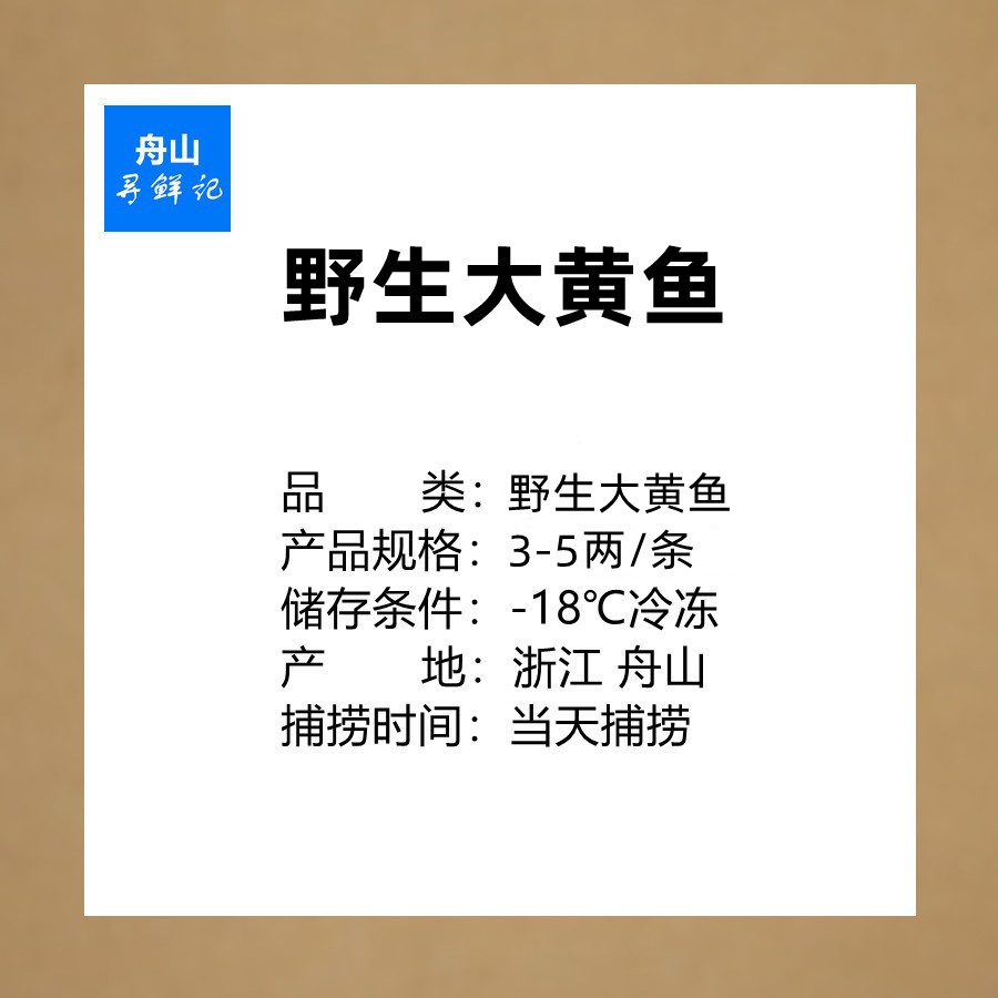 正宗舟山野生大黄鱼新鲜鲜活海鲜水产东海海捕海钓大黄花鱼深海鱼 - 图3