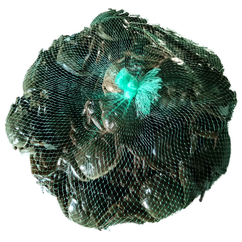 全母30只鲜活蟹小螃蟹稻田蟹大闸蟹香辣蟹醉蟹河蟹毛蟹海鲜水产 - 图3