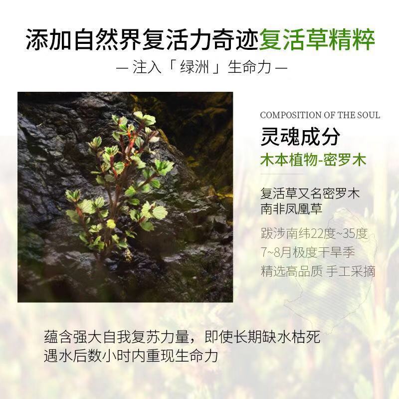 春夏南非复活草护肤品套装女补水保湿水乳滋润亮肤洗面奶套盒正品-图1