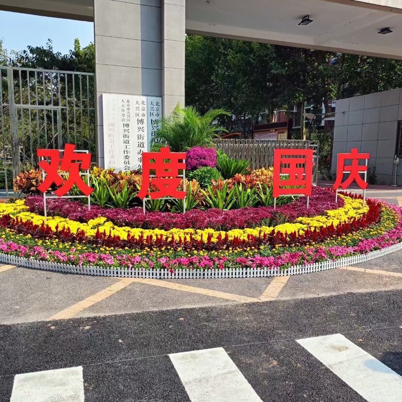 荔湾盆栽：城市绿意的新宠儿