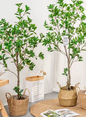 仿真绿植马醉木假植物高端装饰造景大型落地摆件橱窗景观布置组合