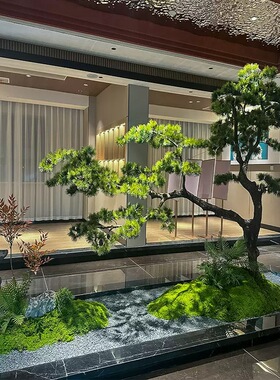 组合景观绿植组合盆栽北京淘绿绿