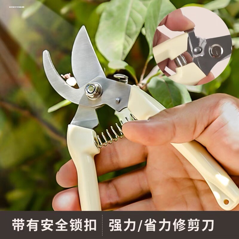不锈钢园艺剪刀修枝剪采摘水果花木园林剪果树剪花卉枝嫁接工具剪 - 图2