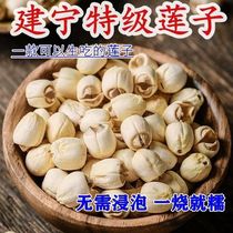 Zhengzong Jianning lotus seed No sulphur to core dry goods Fujian Tite powder glutinous easy to cook large grain white lotus seed nourishing saucepan soup