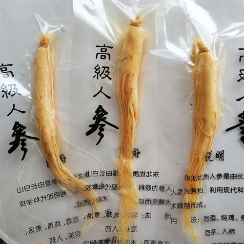 东北长白山保鲜参袋装5元一支新鲜人参五支产地包邮煲汤泡酒参 - 图0