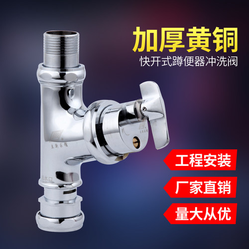 厕所旋钮式大便池冲水阀蹲便器延时手拧式蹲坑角式冲洗阀开关立新 - 图1