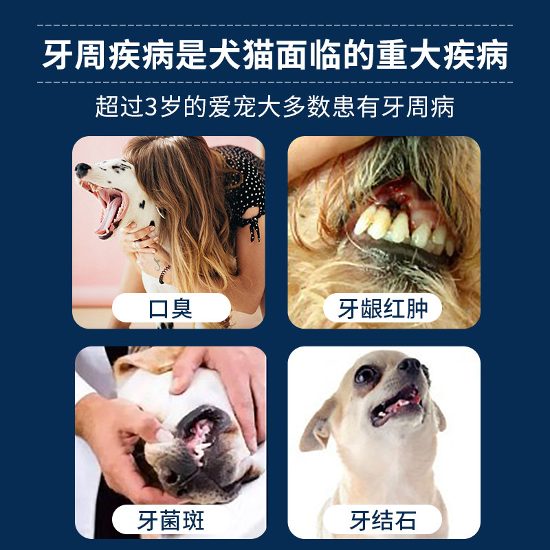 博乐丹洁牙粉猫咪清洁减少漱口水 哈宠宠物用品口腔清洁