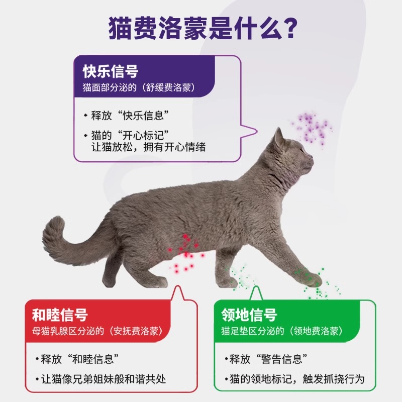 费利威FELIWAY费洛蒙经典喷雾朋友套装补充液预防猫乱尿安抚情绪-图2