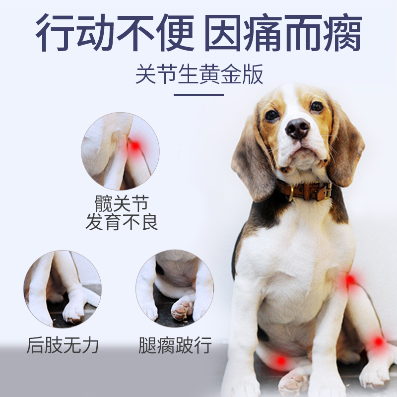 MAG关节生猫咪狗狗老年犬折耳猫鲨鱼软骨素关节宝宠物瘸腿关节灵