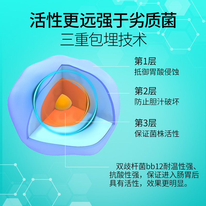 谷登狗狗粉泰迪犬用调理肠胃益生菌 哈宠宠物用品猫/狗保健品