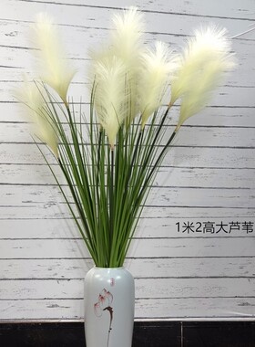 狗尾巴草网红北欧落地客厅芦苇花