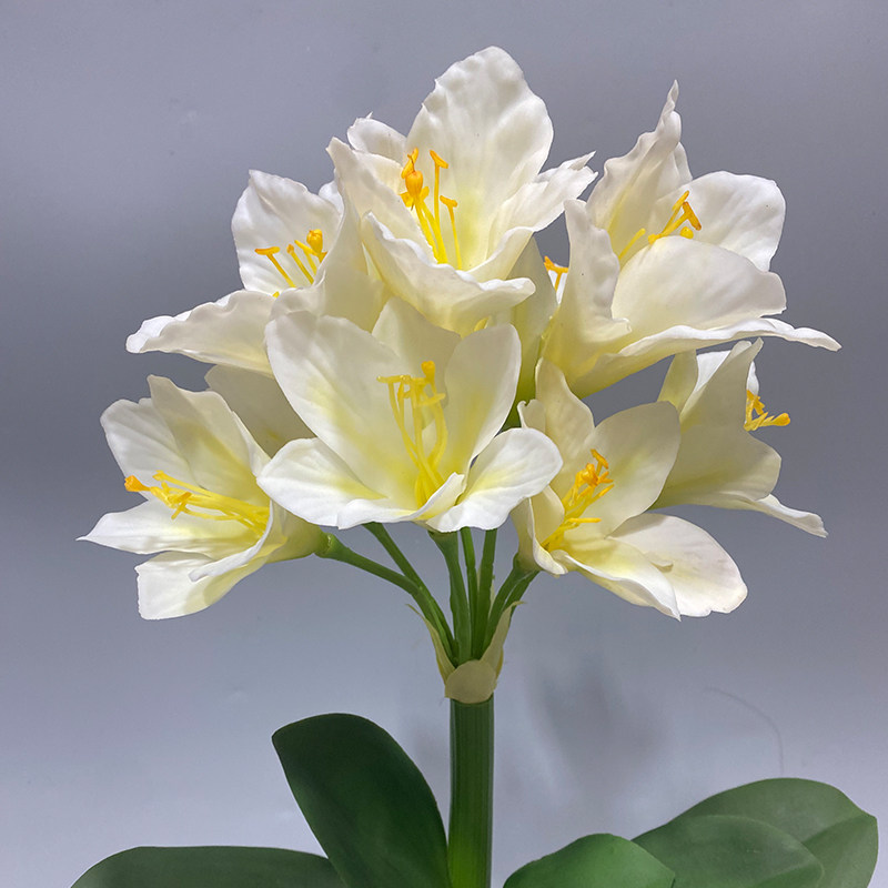 仿真手感君子兰花盆栽客厅室内装饰花艺摆件餐桌摆放装饰,淘宝优惠券,粉丝福利购,淘宝优惠卷