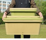 Алиса радужная оболочка фрукты и растительные бассейны Прямоугольное растительное бассейн Балкон Балкон Балкон Растение Смора П.П.