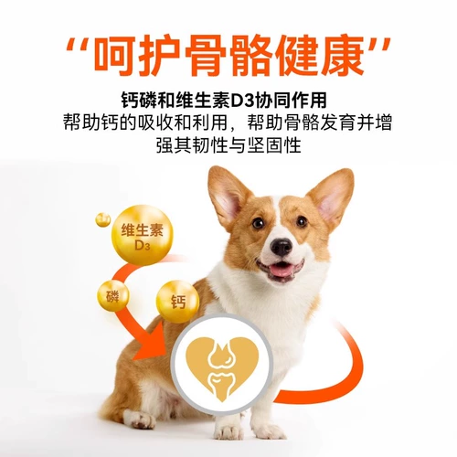 [Pre -Sale] Хороший владелец собачья корм универсальный плюшевый VIP Golden Retriever щенки 10 маленьких собак 32 кот