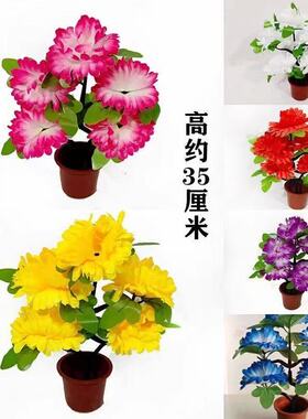 菊花花篮拜祖多个颜色手提花篮