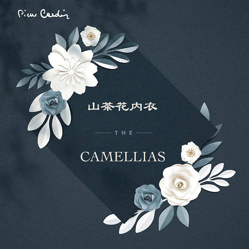 皮尔卡丹内衣新品男士背心无痕保暖圆领加绒短袖打底修身T恤半袖,淘宝优惠券,粉丝福利购,淘宝优惠卷