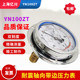 YN100ZT shock-resistant pressure gauge Shanghai Yichuan