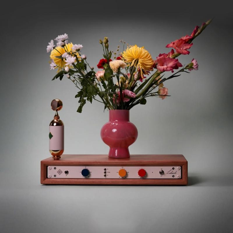 Soyuz Lakeside 单通道话放 正品国行 前置话筒放大器带滤镜 - 图2