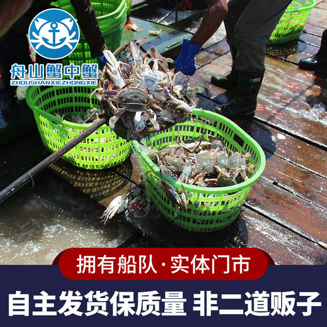 Zhoushan swimming crab meat female crab light cream crab