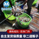 Zhoushan swimming crab meat female crab light cream crab