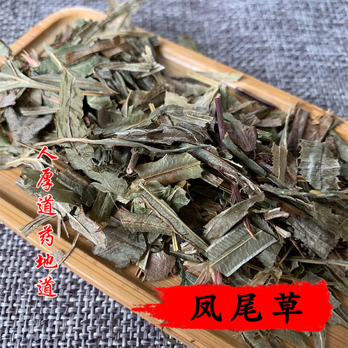 中药材 凤尾草 50g 可打粉 满包邮 - 图1