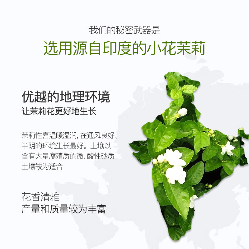 wilding care维尔汀260ml茉莉纯露 维尔汀化妆品纯露/花水