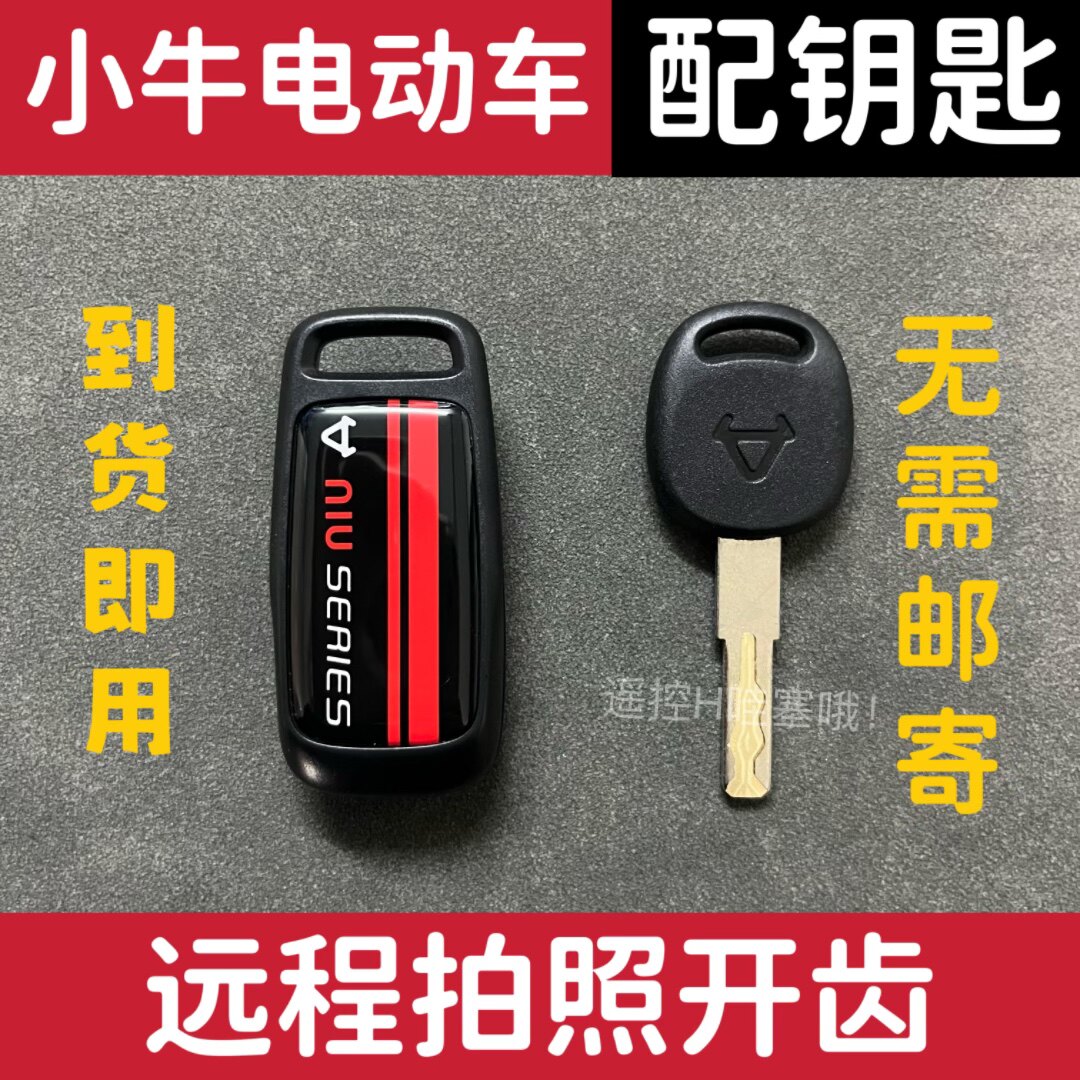 小牛雅迪爱玛台铃小刀电动车钥匙远程拍照开齿图片配钥匙全丢匹配