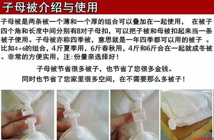 正品蚕丝被100%桑蚕丝春秋被二合一子母被全棉冬被夏凉被婚庆被芯