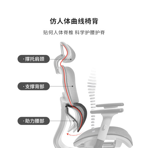 八九间人体工学椅子家用可躺电脑椅舒适久坐办公椅护腰升降电竞椅 - 图1