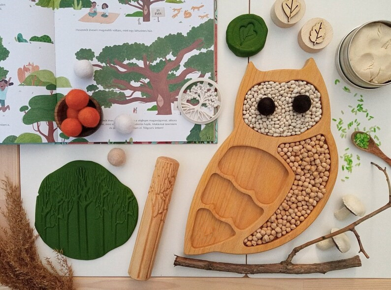 蒙氏感官盆儿童早教益智游戏盆开放性材料托盘瑞吉欧幼儿园教玩具 - 图1